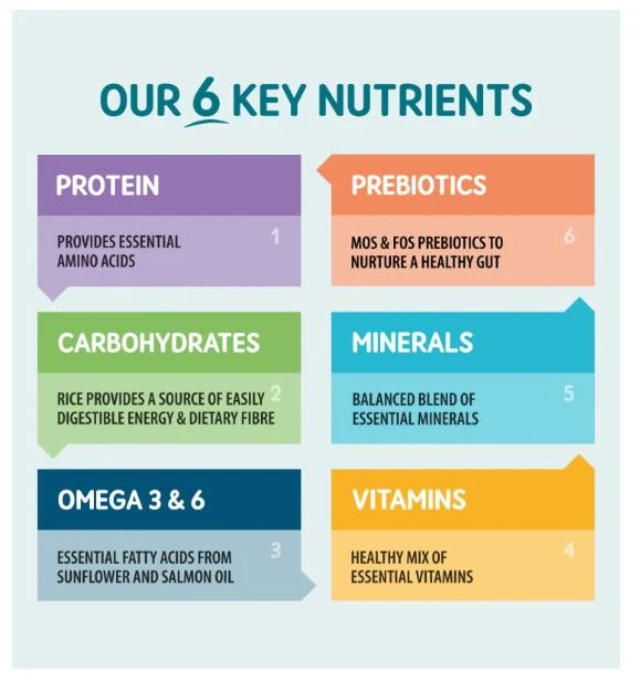 Naturo Adult Wet Lamb & Rice 400g - Image 3