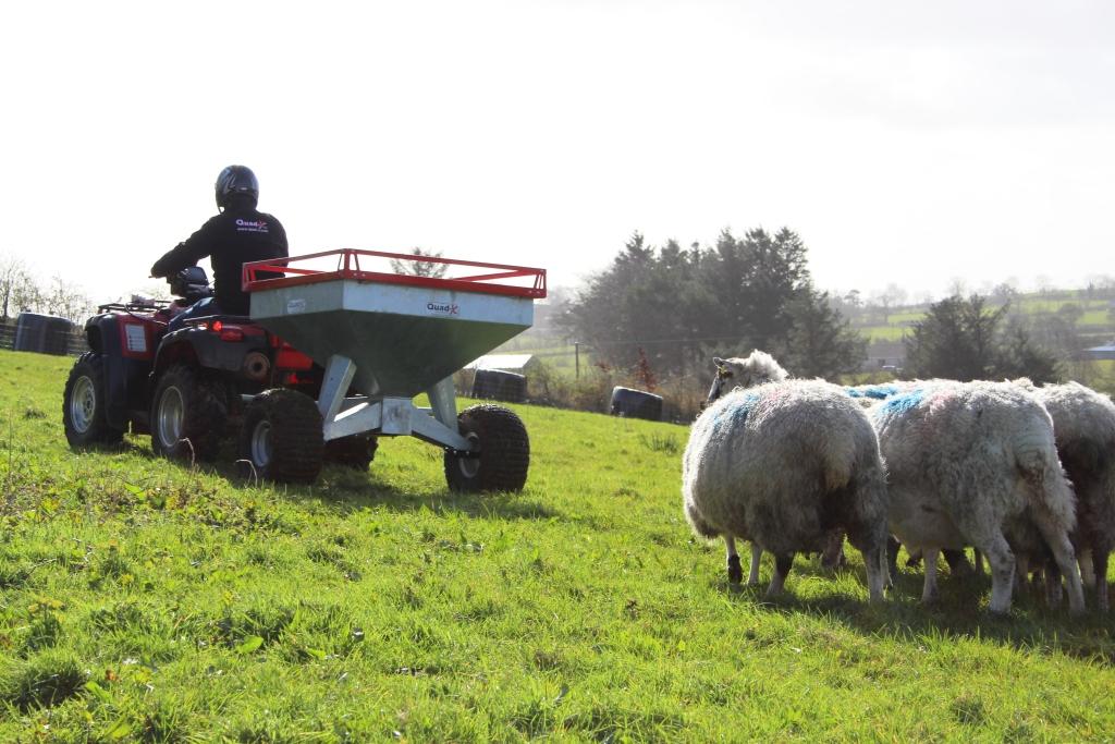 Quad-X Auto Drop Feeder Controller & Nudge - 370L - Image 6